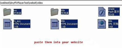 Paste them into your website file