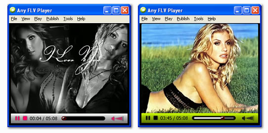 screen shot of Any FLV Player - Free FLV Player